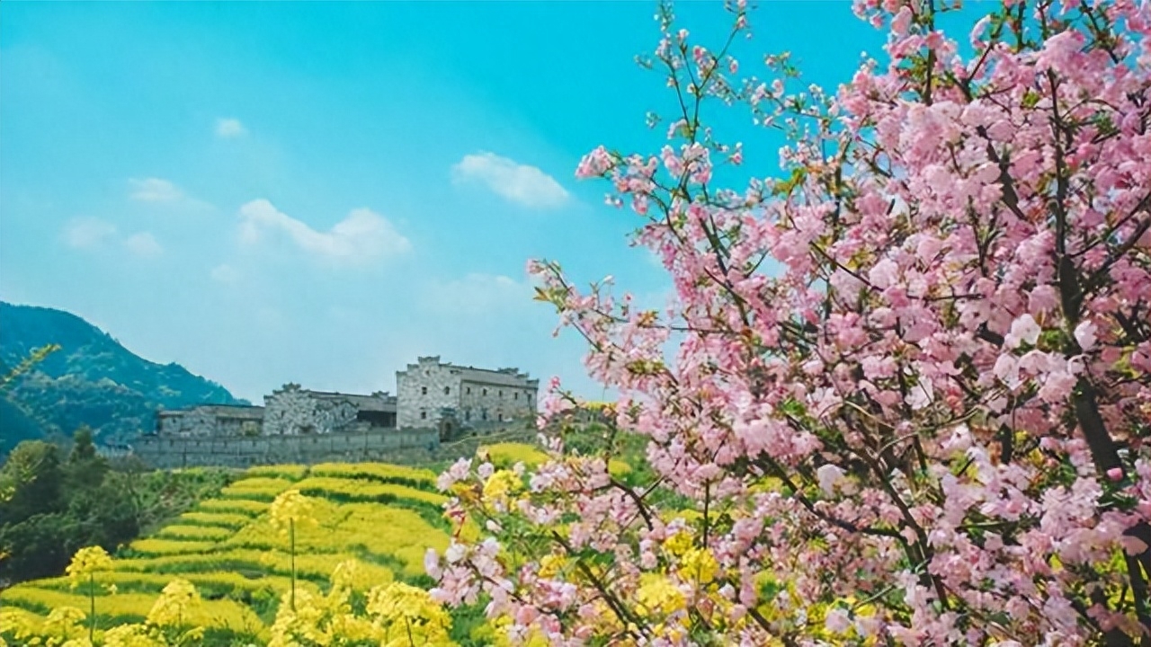 落花飞絮，春意阑珊（6首清明节古诗词）