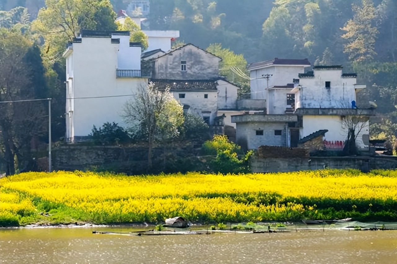 落花飞絮，春意阑珊（6首清明节古诗词）