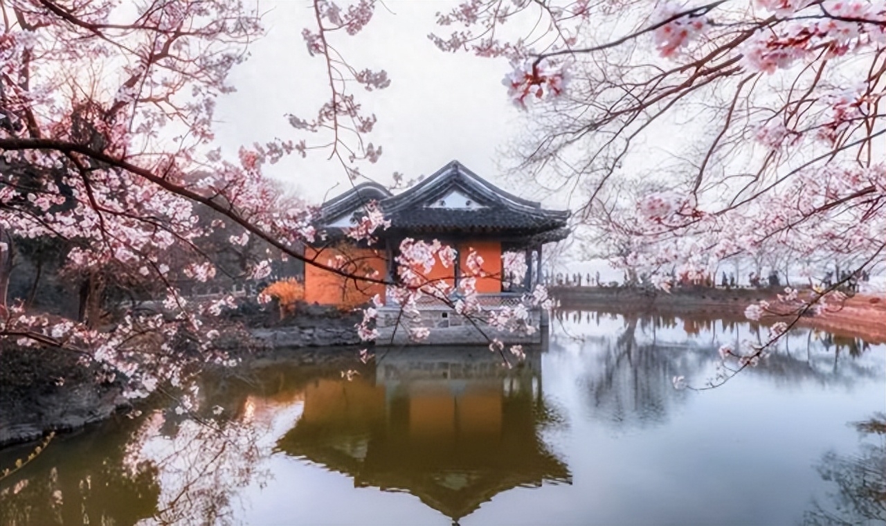 落花飞絮，春意阑珊（6首清明节古诗词）