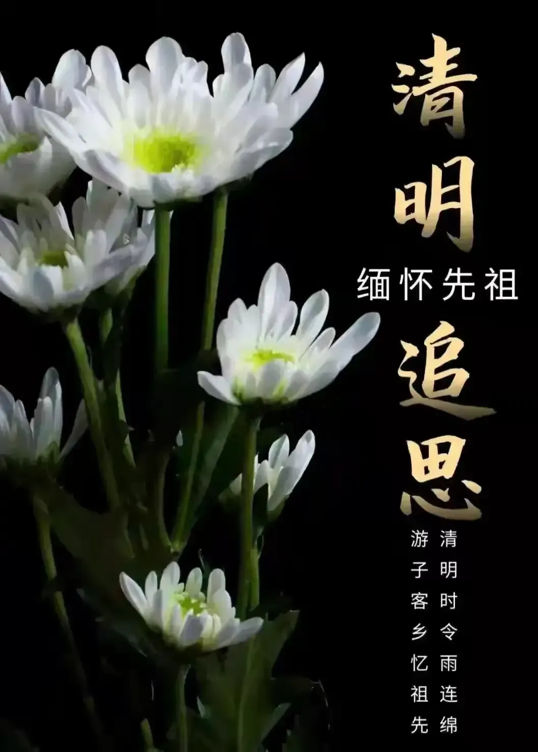 清明节的经典古诗名句（经典的20句清明诗词）