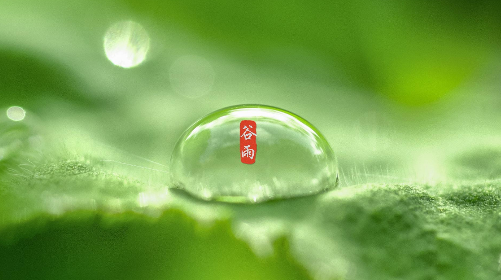 谷雨经典诗词节气的诗句（有关谷雨的诗词）