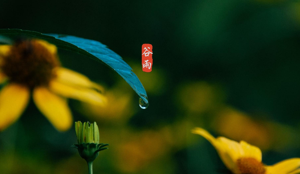 谷雨经典诗词节气的诗句（有关谷雨的诗词）