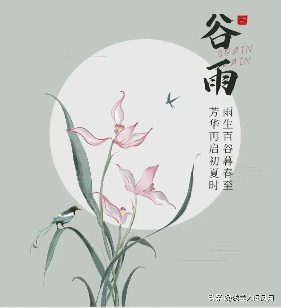 雨生百谷暮春至，芳华再启初夏时（谷雨节气古诗词）