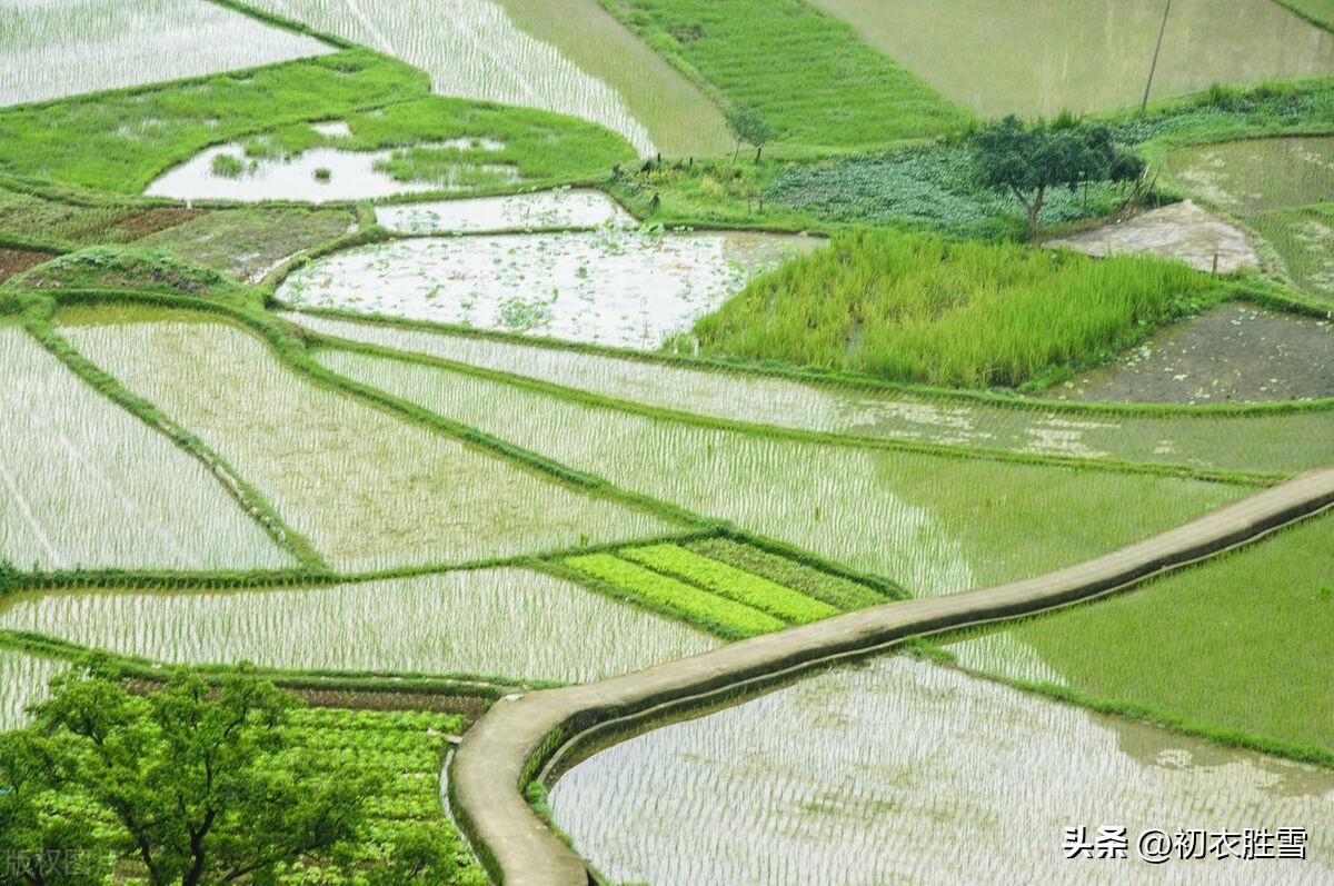 谷雨催耕水拍田，东皋谷雨满春田（谷雨节气美诗七首）