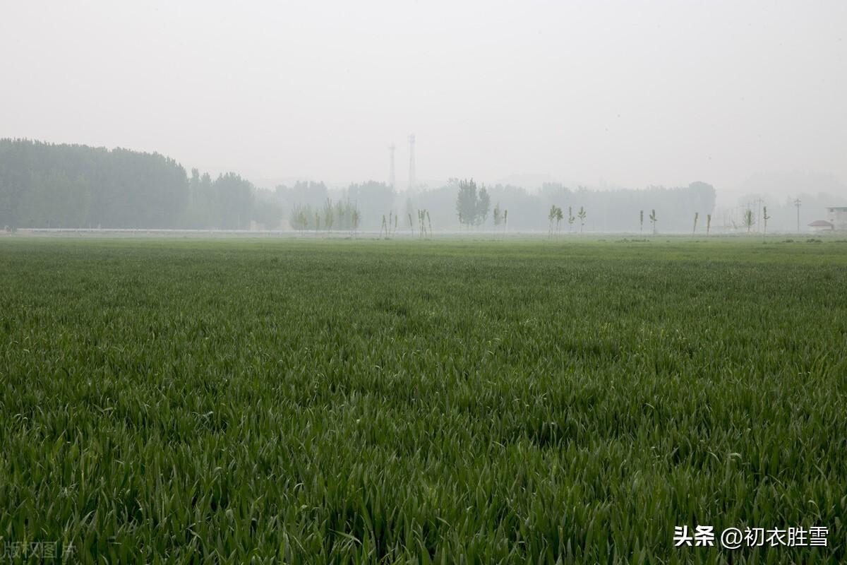 谷雨催耕水拍田，东皋谷雨满春田（谷雨节气美诗七首）