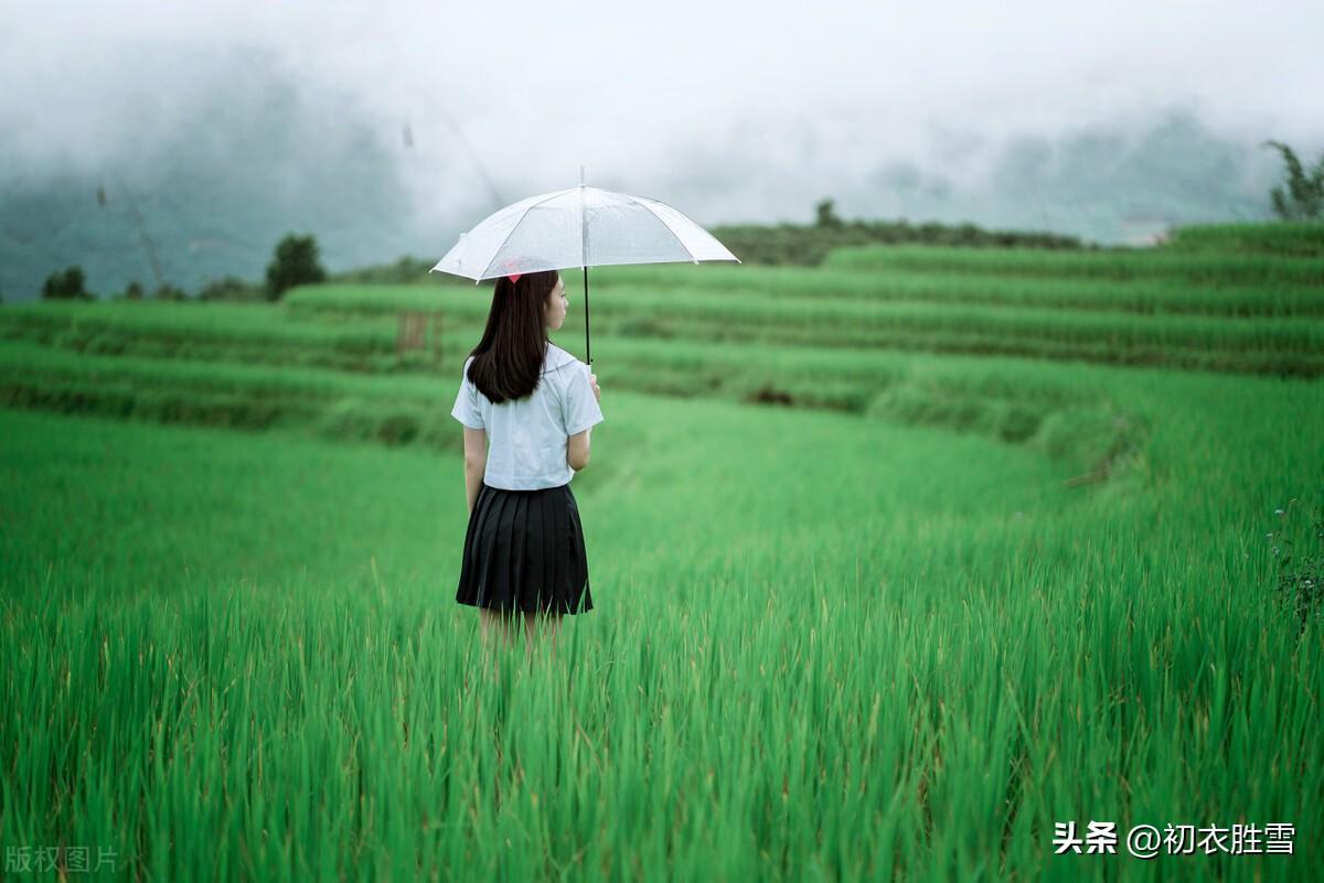 谷雨催耕水拍田，东皋谷雨满春田（谷雨节气美诗七首）