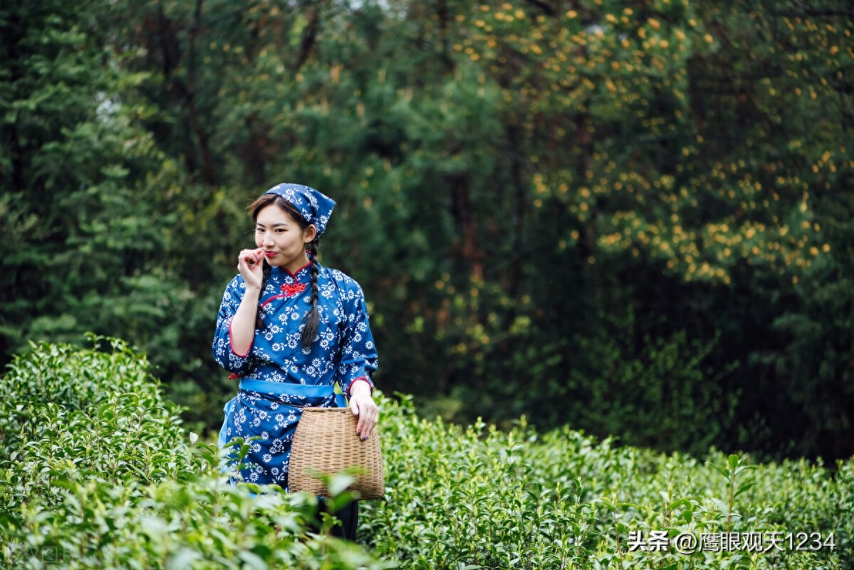 谷雨经典诗词古句鉴赏（谷雨唯美诗词精选）