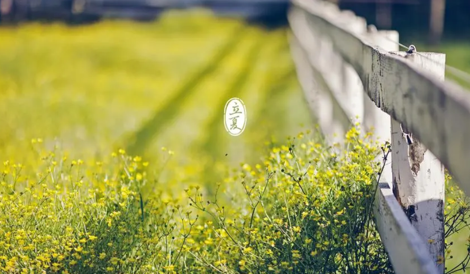 万物并秀，绿木成荫（12首立夏的古诗词）