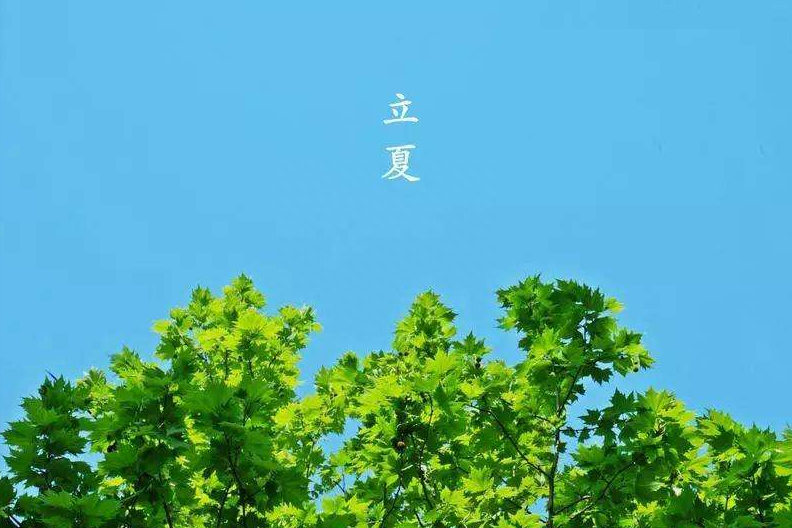 赞美立夏的经典诗句（35首古诗词中的立夏之美）