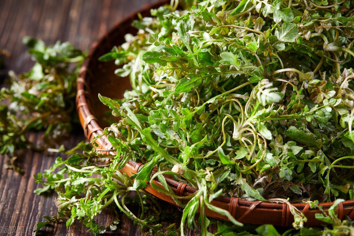 城中桃李愁风雨，春在溪头荠菜花（精选9首荠菜诗词）