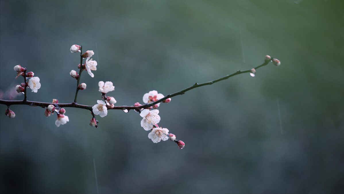 从今克己应犹及，颜与梅花俱自新（8首正月初七的古诗）