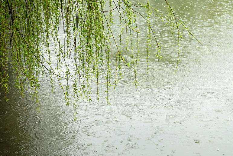 细雨鱼儿出，微风燕子斜（杜甫的春天唯美古诗词）