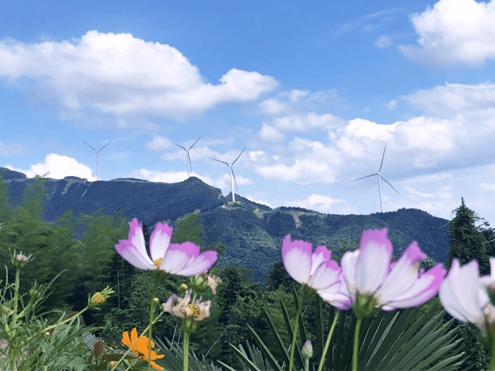 适合夏天发朋友圈的诗句（夏日清凉的诗词）