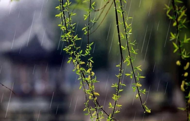 溪花与禅意，相对亦忘言（10首禅诗里的春天）