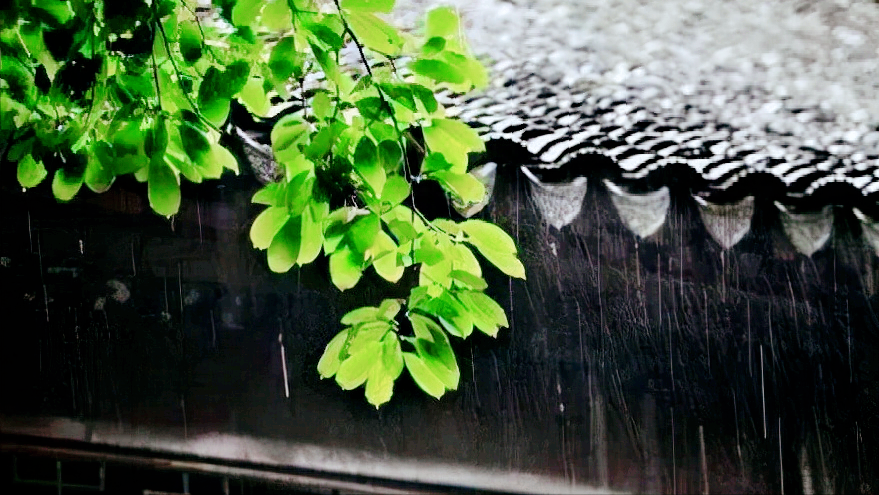 看春雨缠绵，品人生清欢（10首关于春雨的古诗）