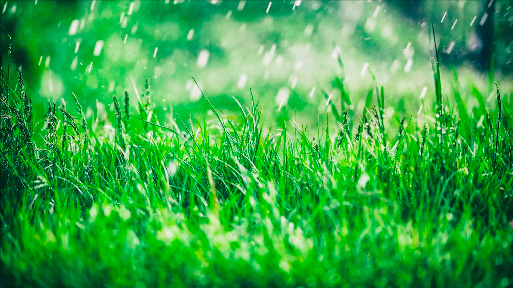 看春雨缠绵，品人生清欢（10首关于春雨的古诗）