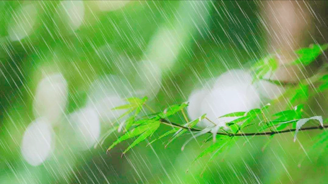 看春雨缠绵，品人生清欢（10首关于春雨的古诗）