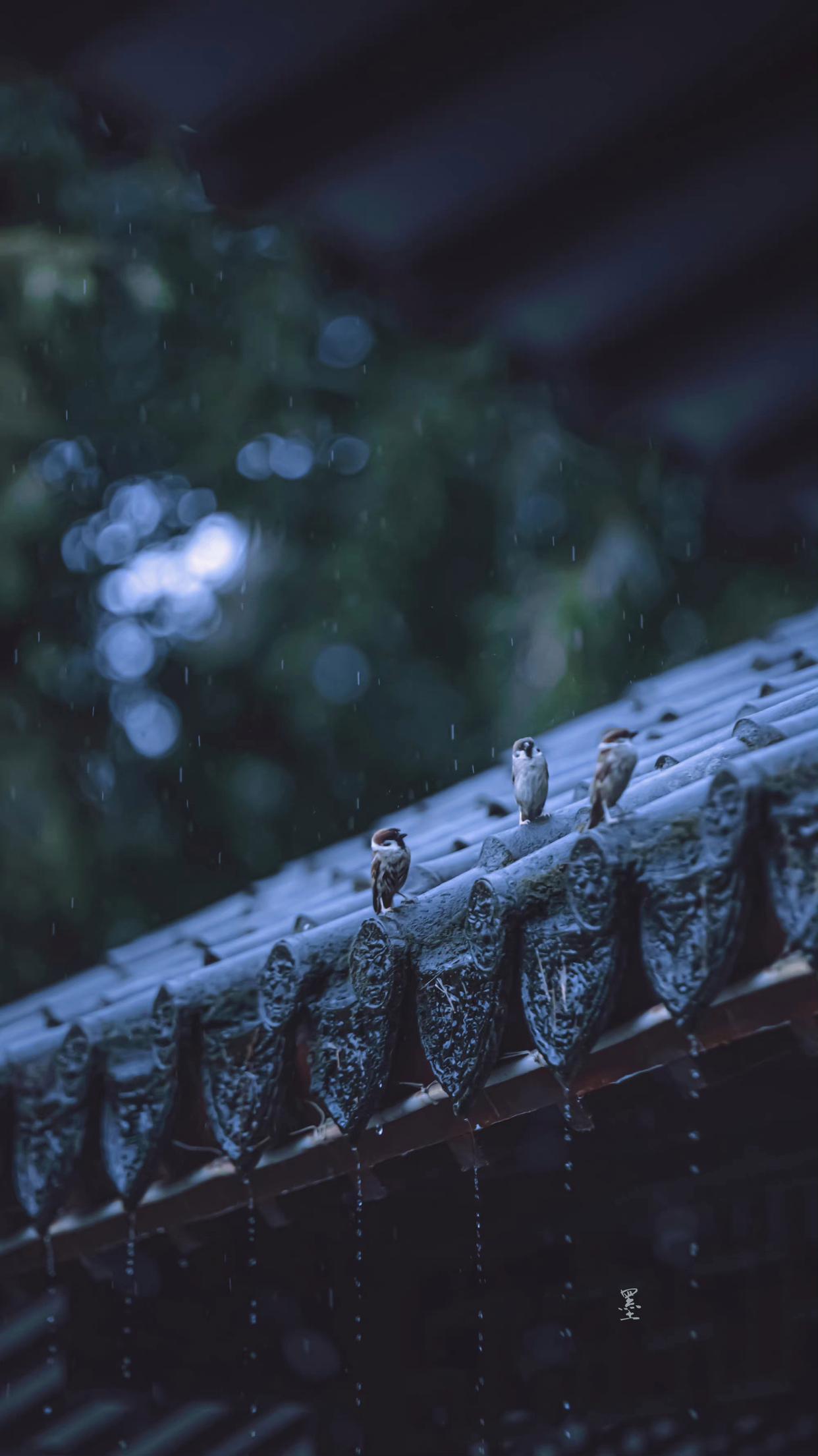 关于夏天下大雨的诗句（10首夏雨诗词）