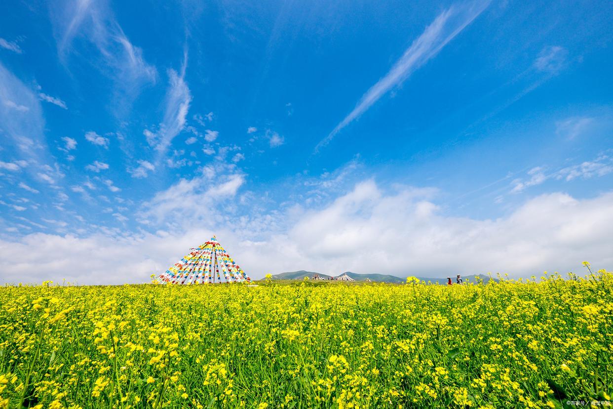 绿荫丛丛，红摘樱桃（分享10首立夏古诗词）