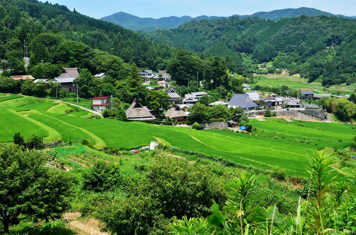 描写稻田蛙声阵阵的诗句（9首蛙鸣古诗）