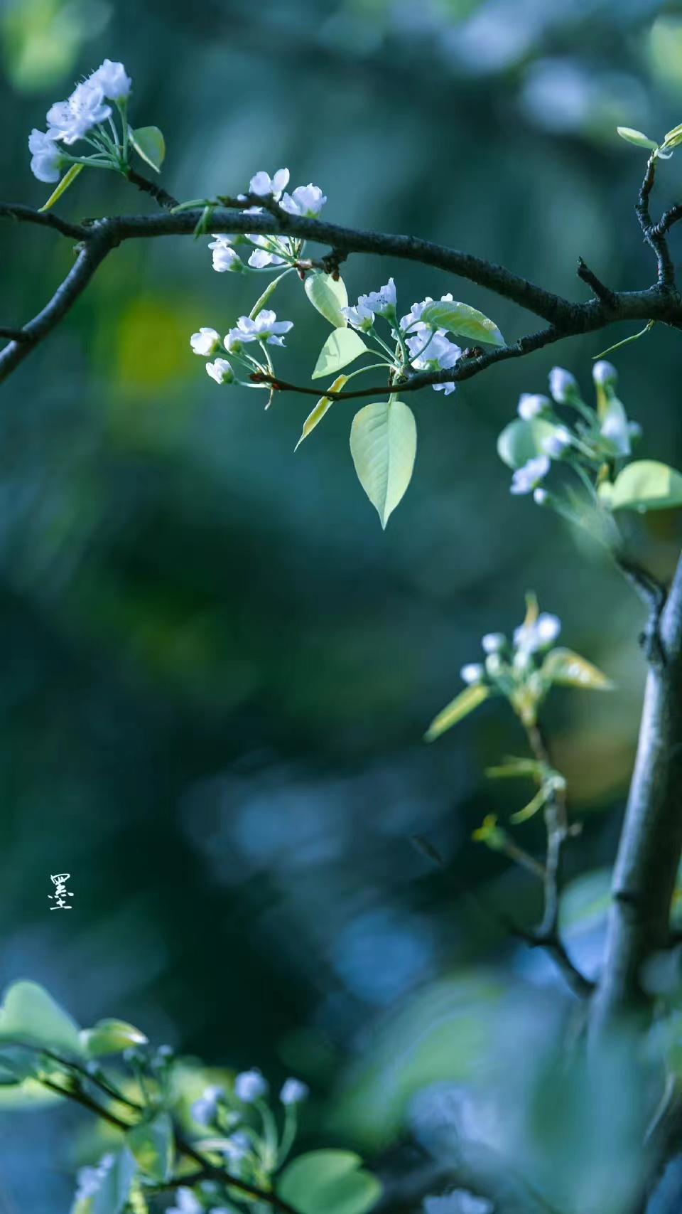 友谊诗词名句经典（有关友情不变的诗句）