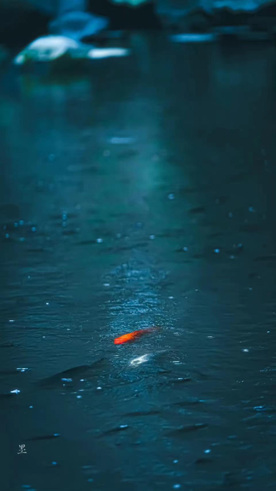 初春有梦，雨落成诗（四首唯美春雨诗词）