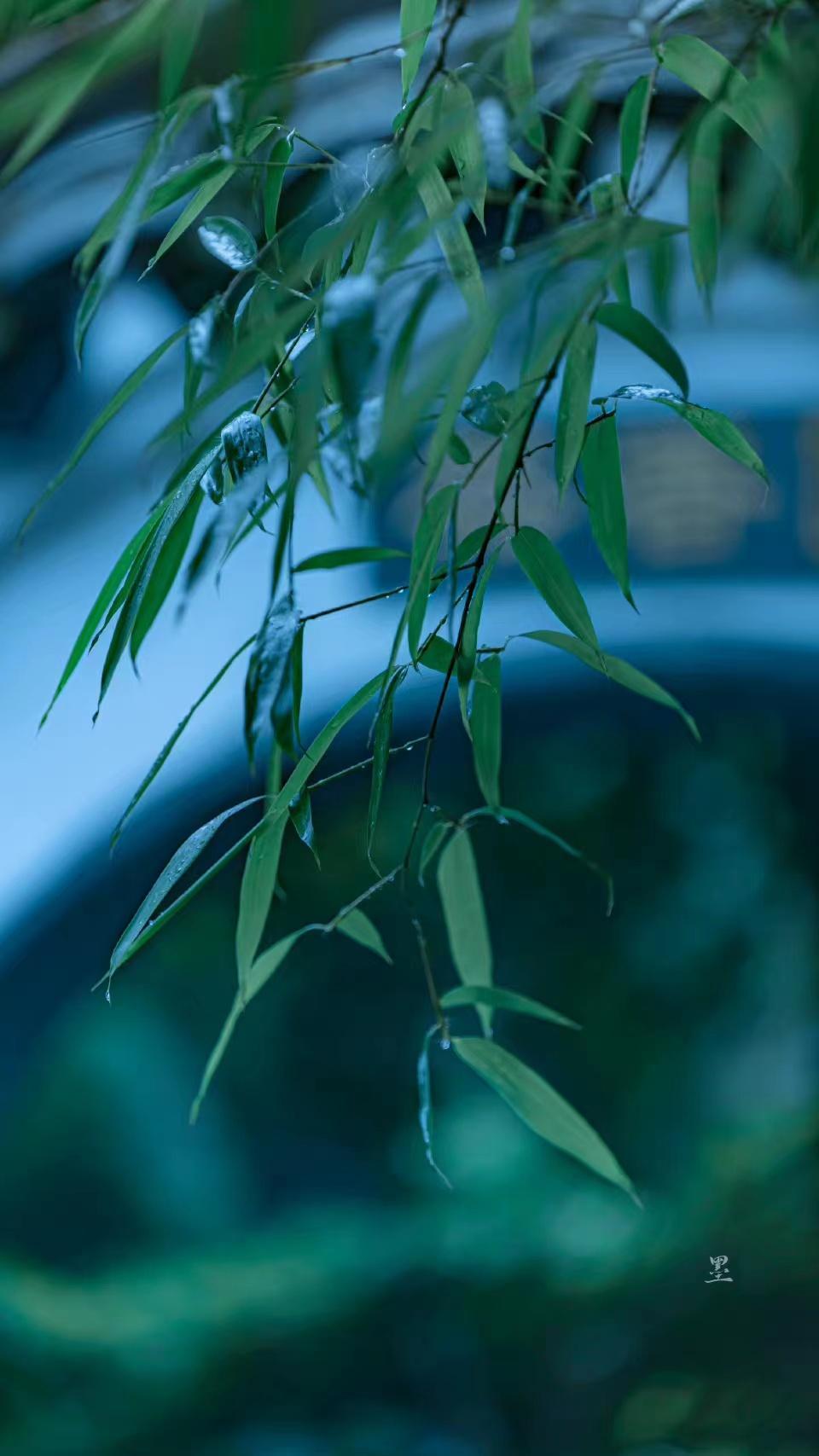 一山一水一世界，一静一慢一浮生（四首静心古诗词）