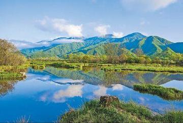 那些乡村即景的作文（《乡村的风景》）