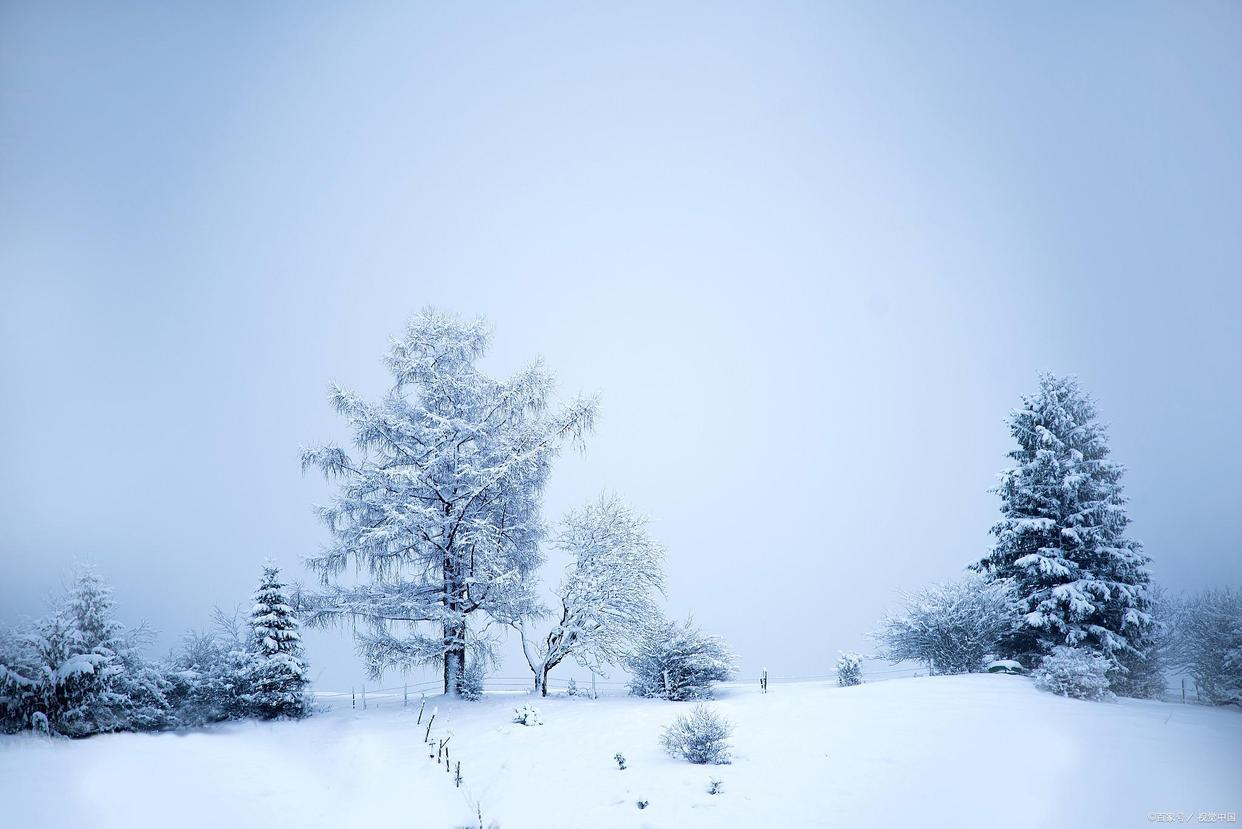 意境诗词名句摘抄（关于雪的四首唯美诗词）