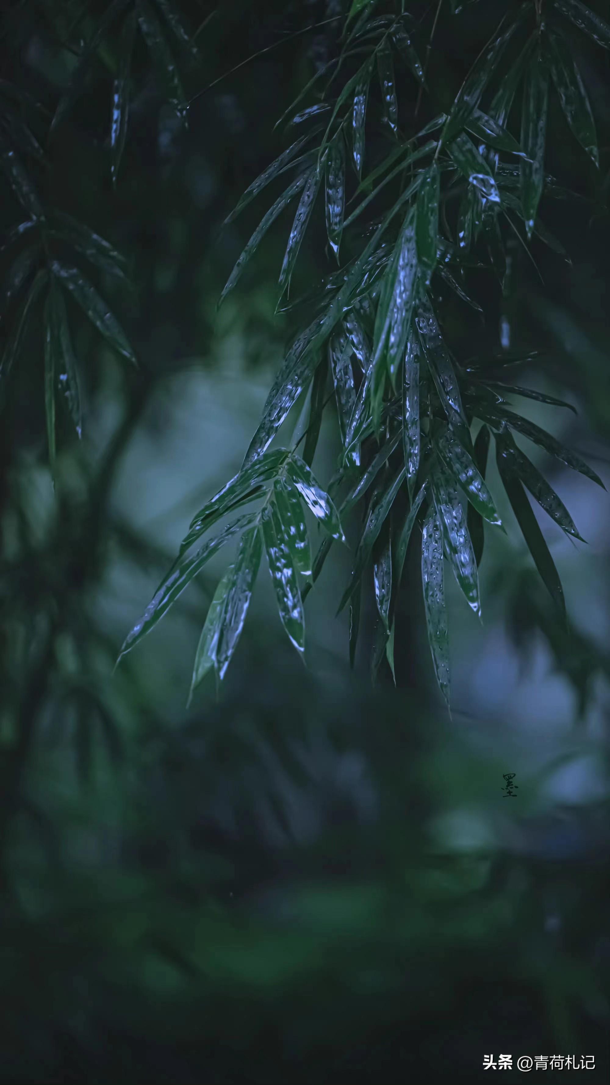 唯美清秋，雨落成诗（精选四首秋雨诗词）