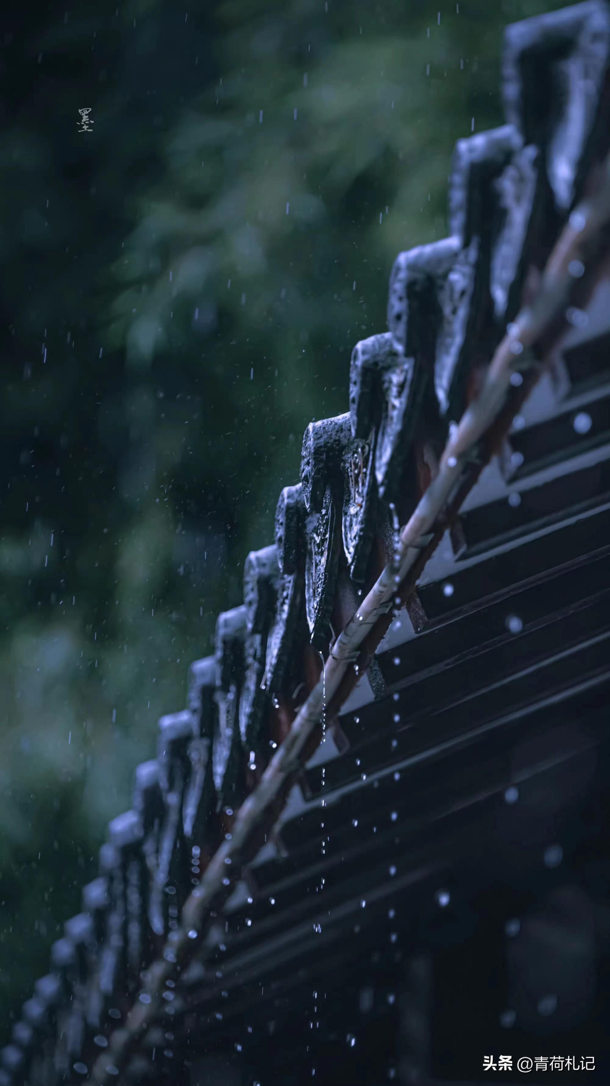 唯美清秋，雨落成诗（精选四首秋雨诗词）