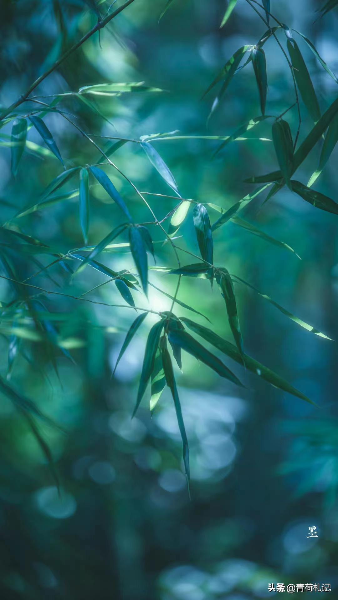 一山一水一浮生，繁花似锦觅安宁（四首静心古诗词）