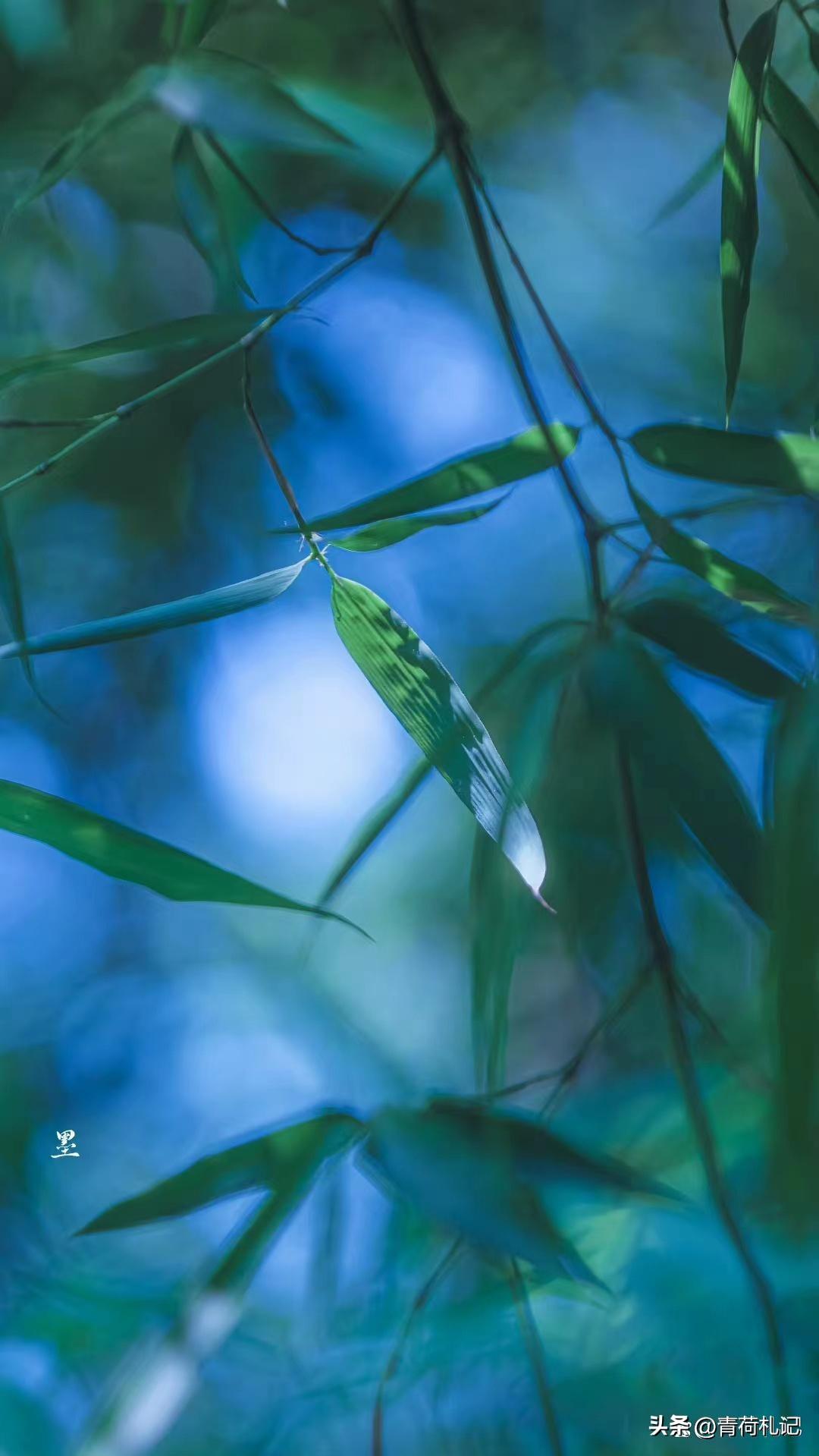 一山一水一浮生，繁花似锦觅安宁（四首静心古诗词）