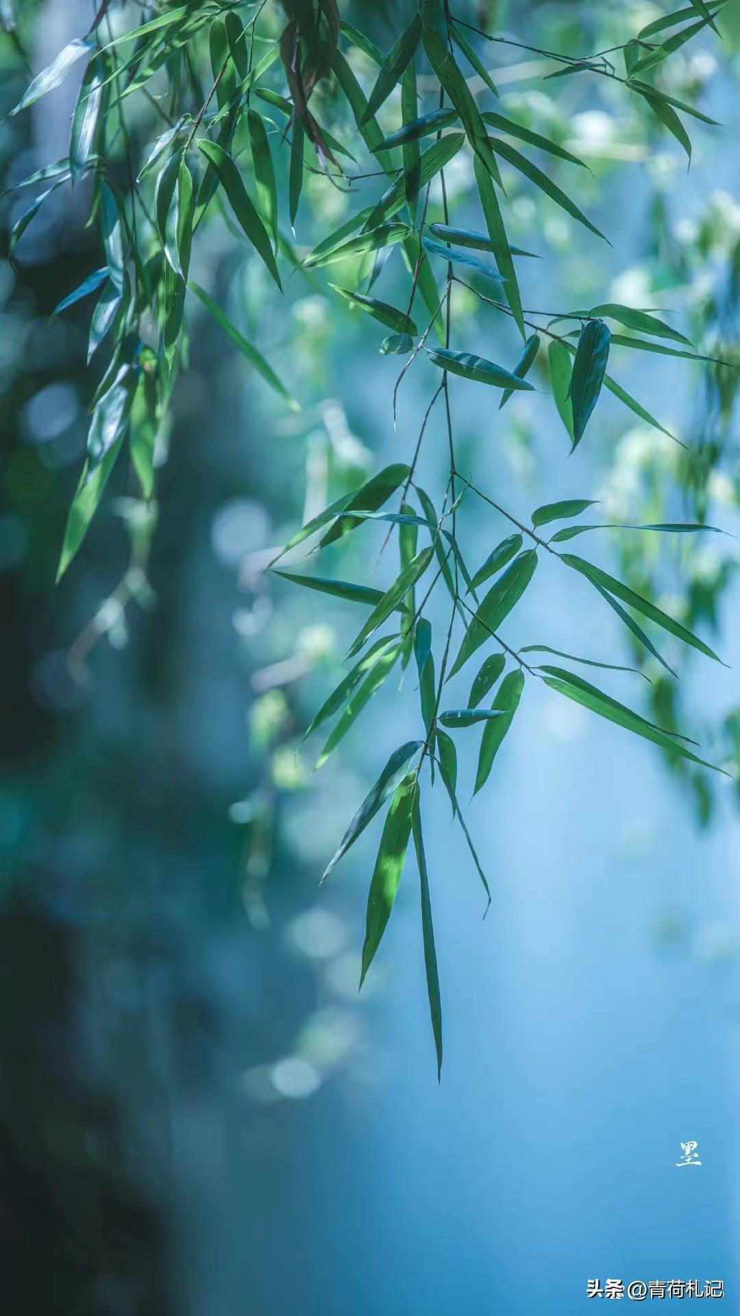 一山一水一浮生，繁花似锦觅安宁（四首静心古诗词）