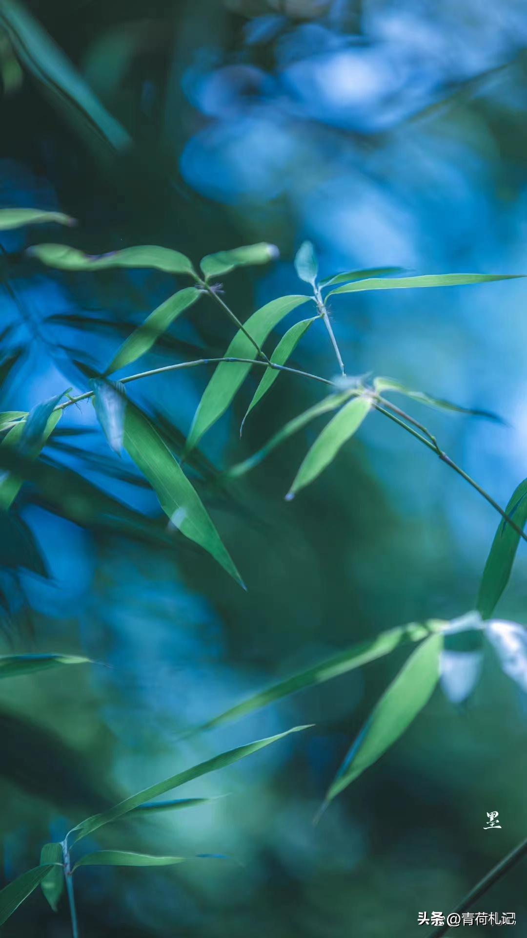 一山一水一浮生，繁花似锦觅安宁（四首静心古诗词）