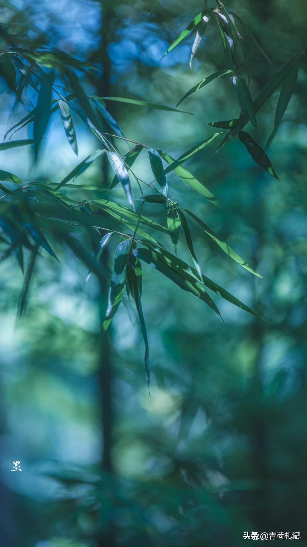 一山一水一浮生，繁花似锦觅安宁（四首静心古诗词）