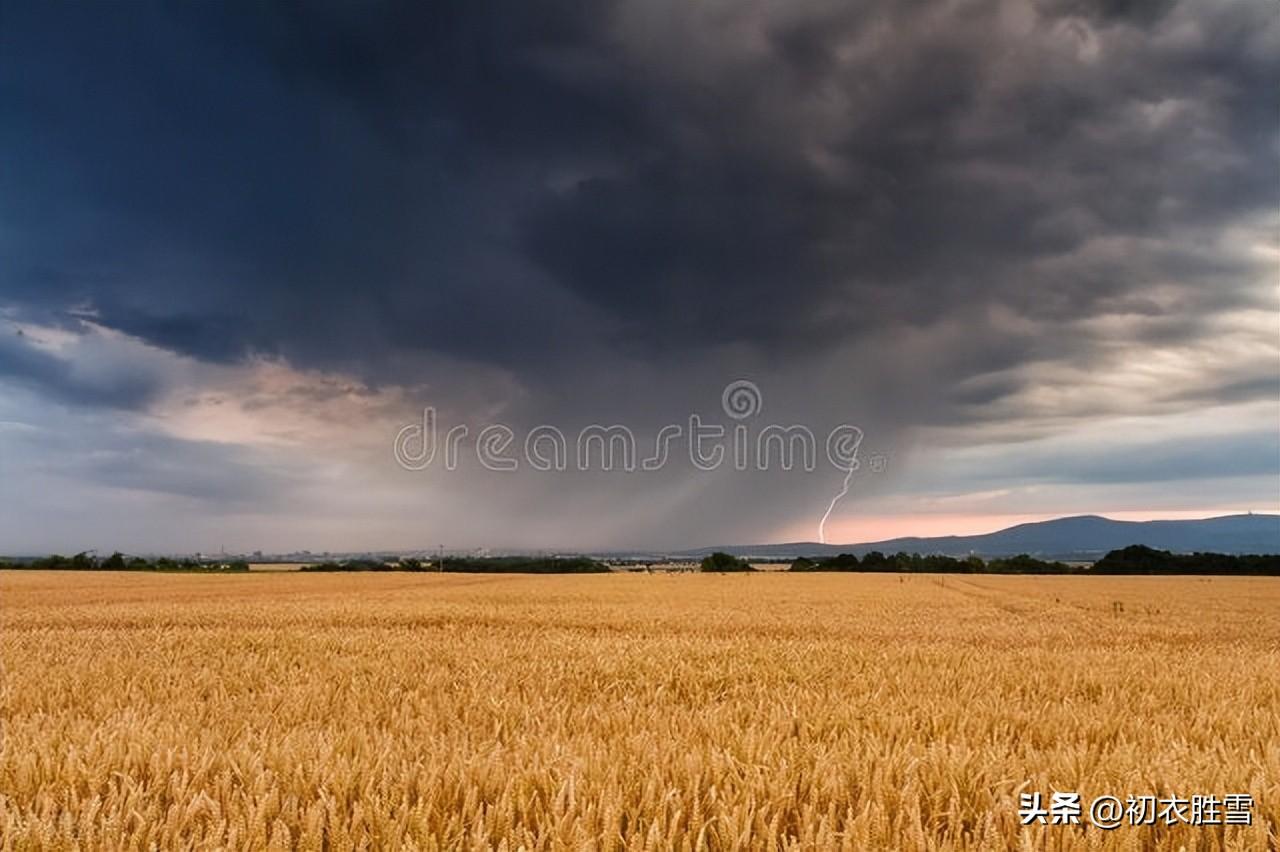 节气芒种古诗六首（时雨及芒种，芒种夏将深）