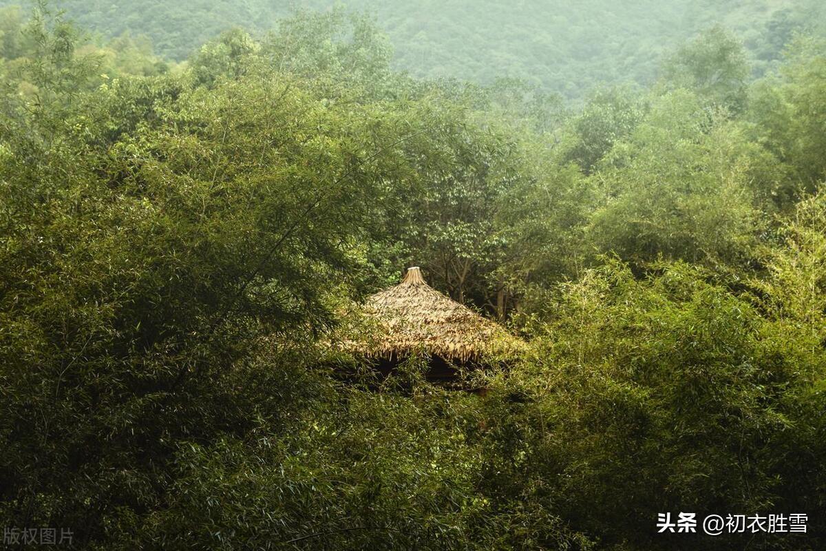 节气芒种古诗六首（时雨及芒种，芒种夏将深）