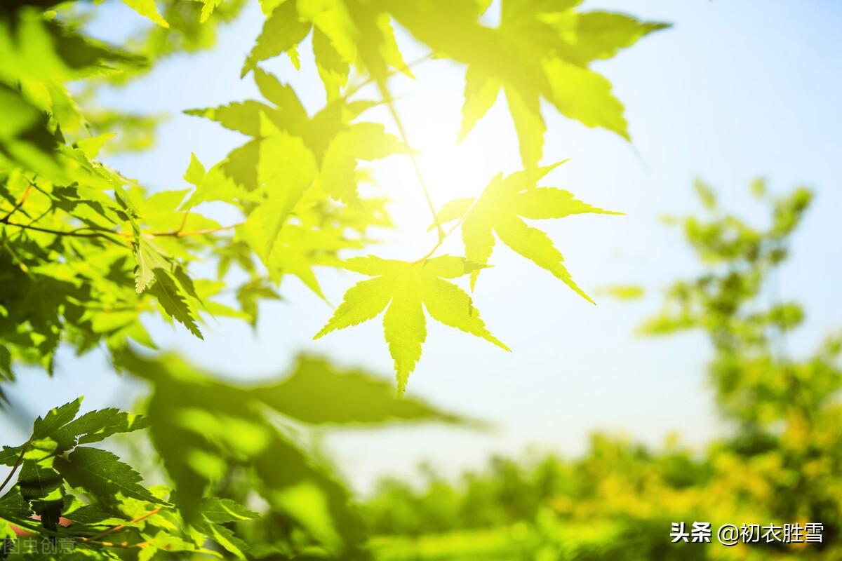 二十四节气夏至古诗六首（夏至一阴生，微阴生九原）