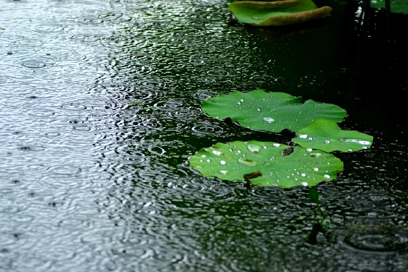 有收有种，自在从容（唯美8首芒种诗词）