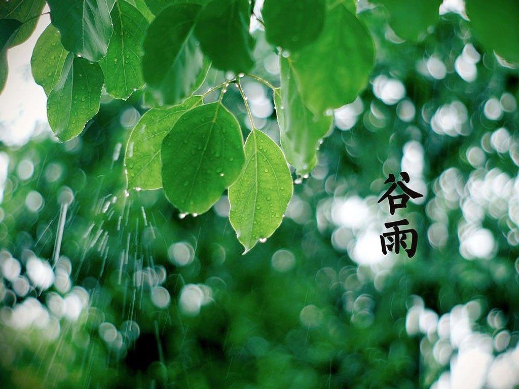 春尽夏至谷雨天，莫负人间好风光（唯美的9首谷雨诗词）