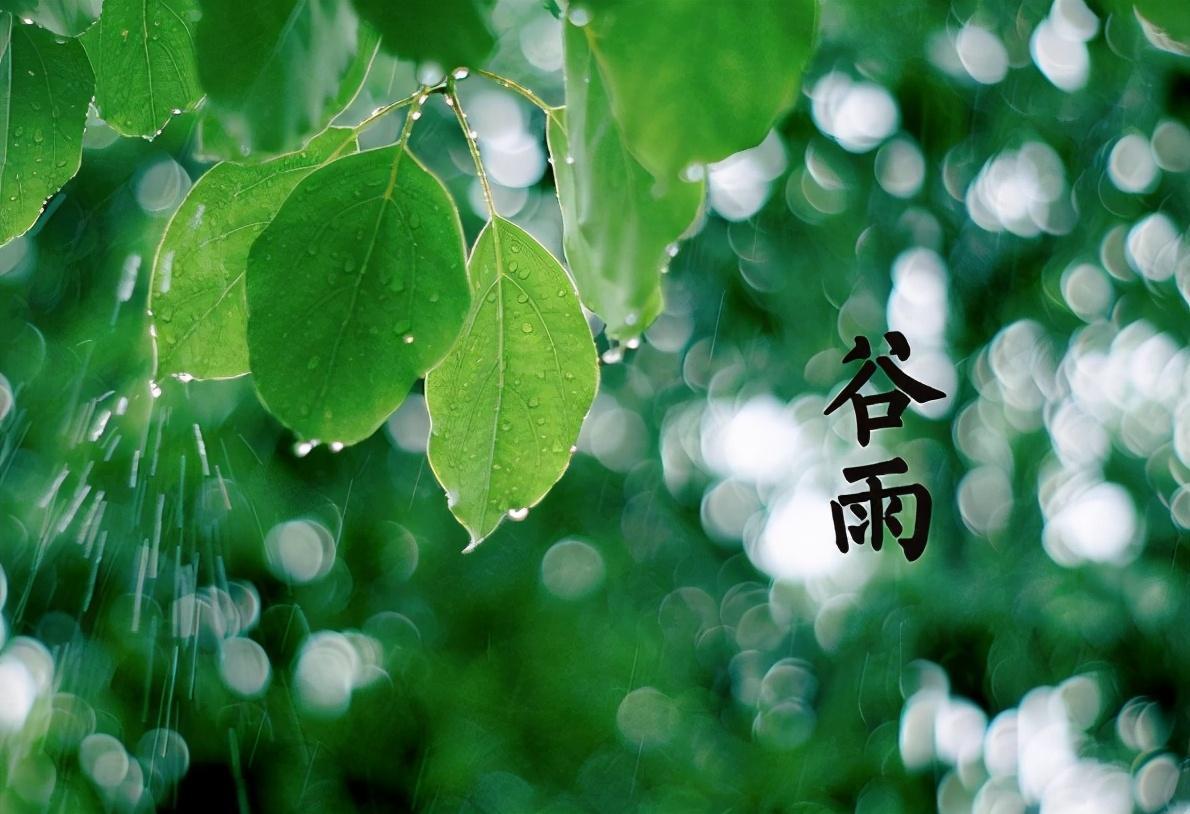 谷雨诗词名句浪漫赏析（雨生百谷，时至暮春）