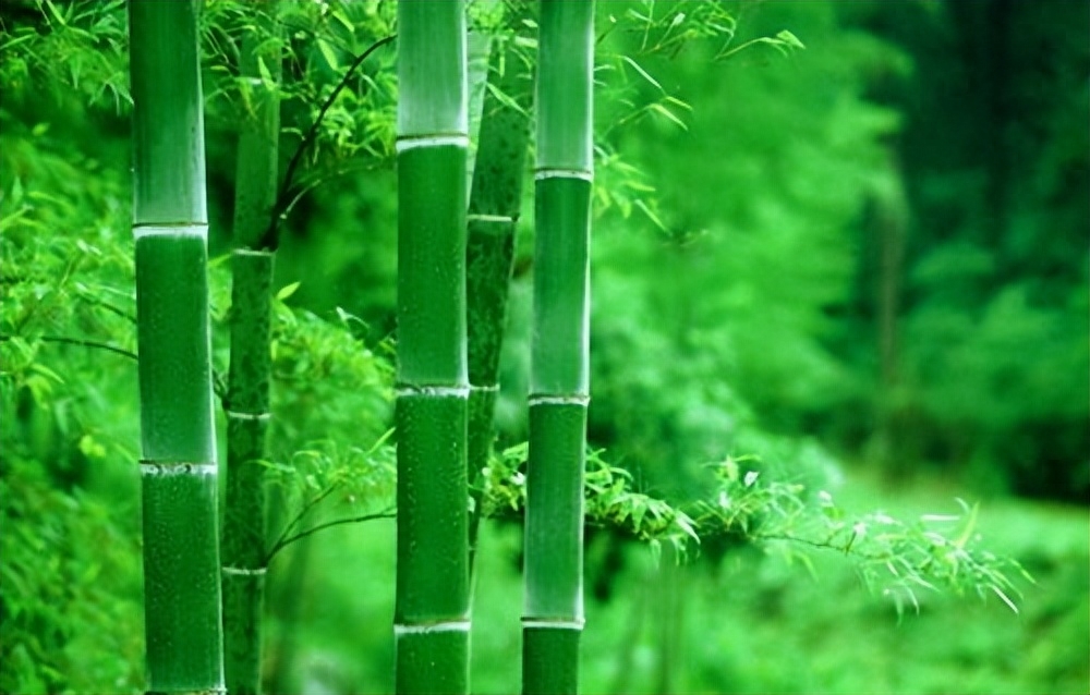 大暑三秋近，林钟九夏移（咏大暑古诗赏析）