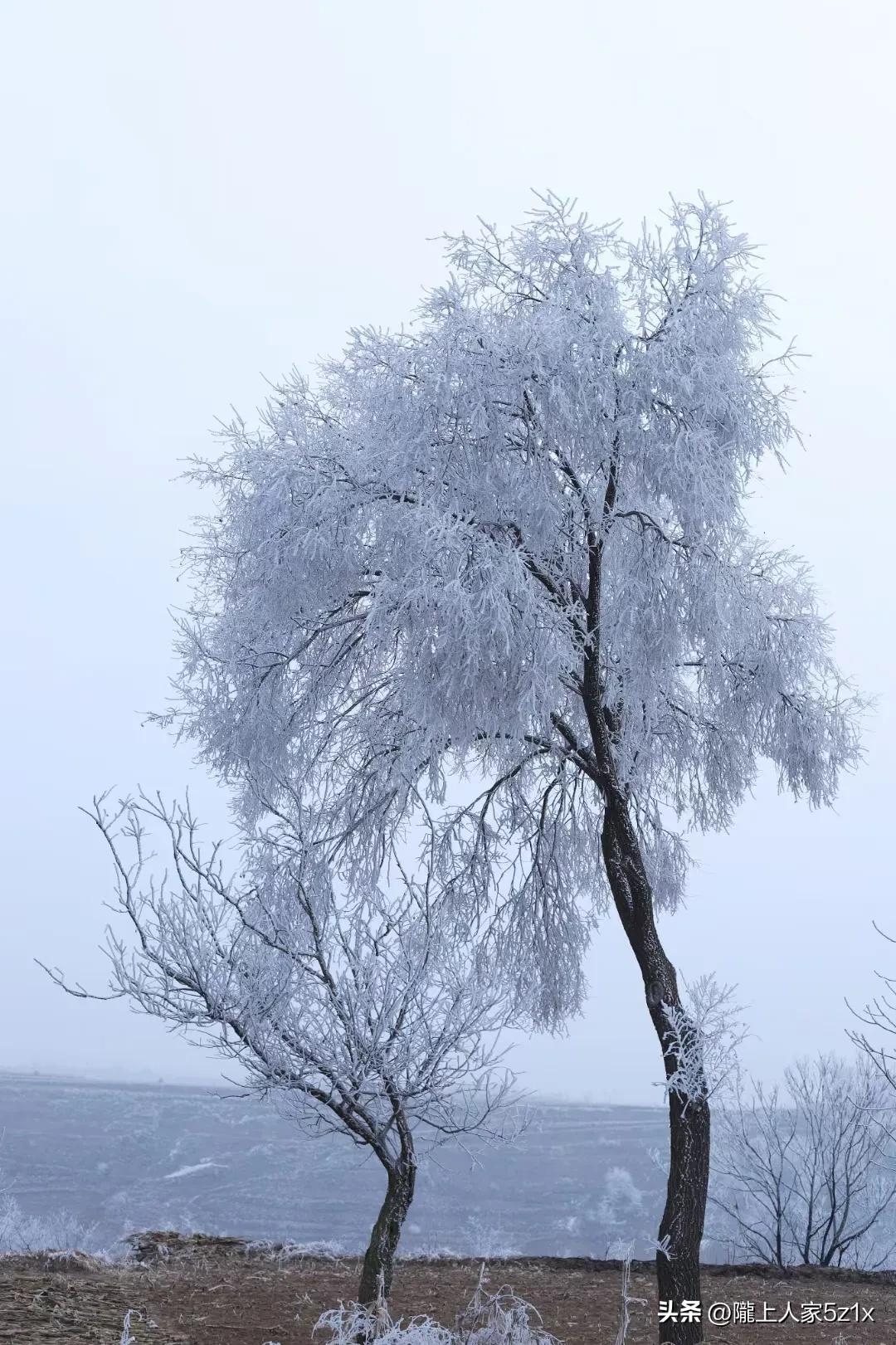 雪中浪漫爱情诗句（六首大雪古诗）