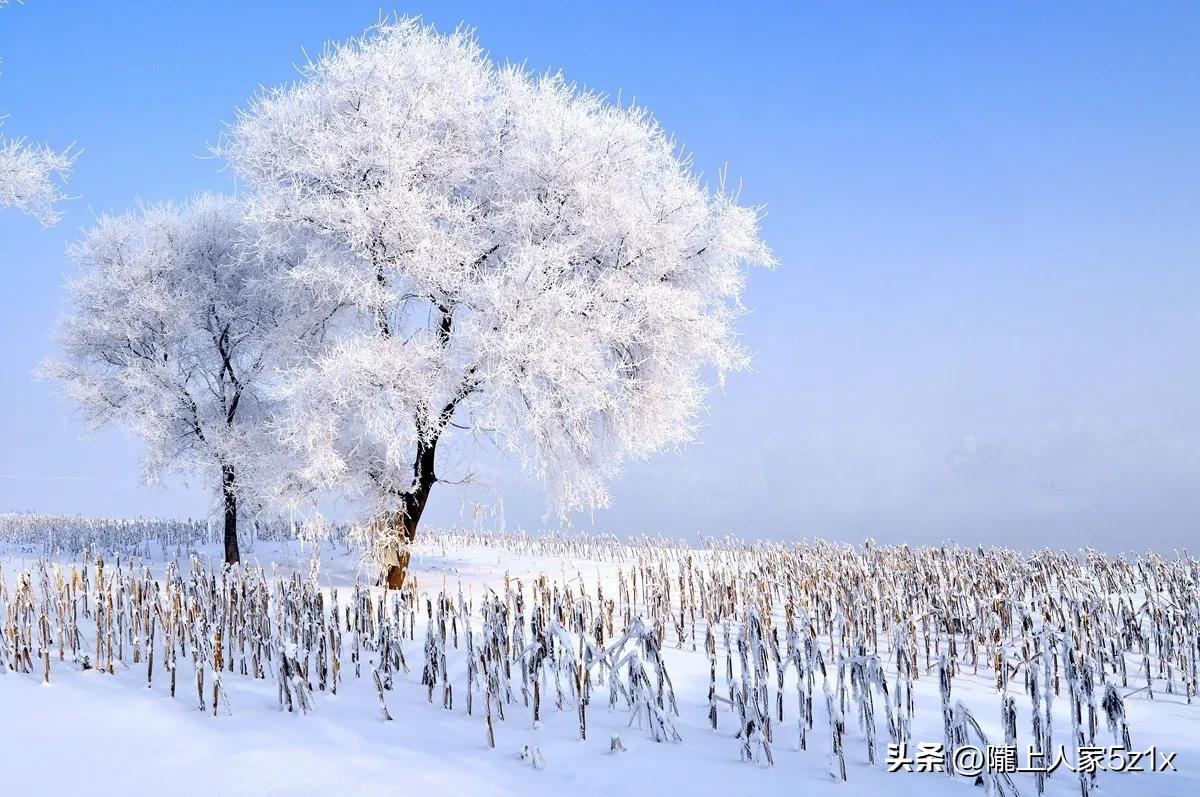 雪中浪漫爱情诗句（六首大雪古诗）