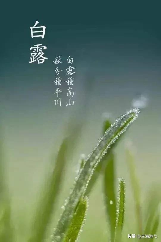 白露寓意美好的诗句（十首白露时节优美的古诗词）