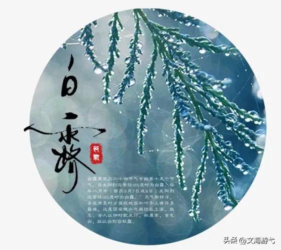 白露寓意美好的诗句（十首白露时节优美的古诗词）