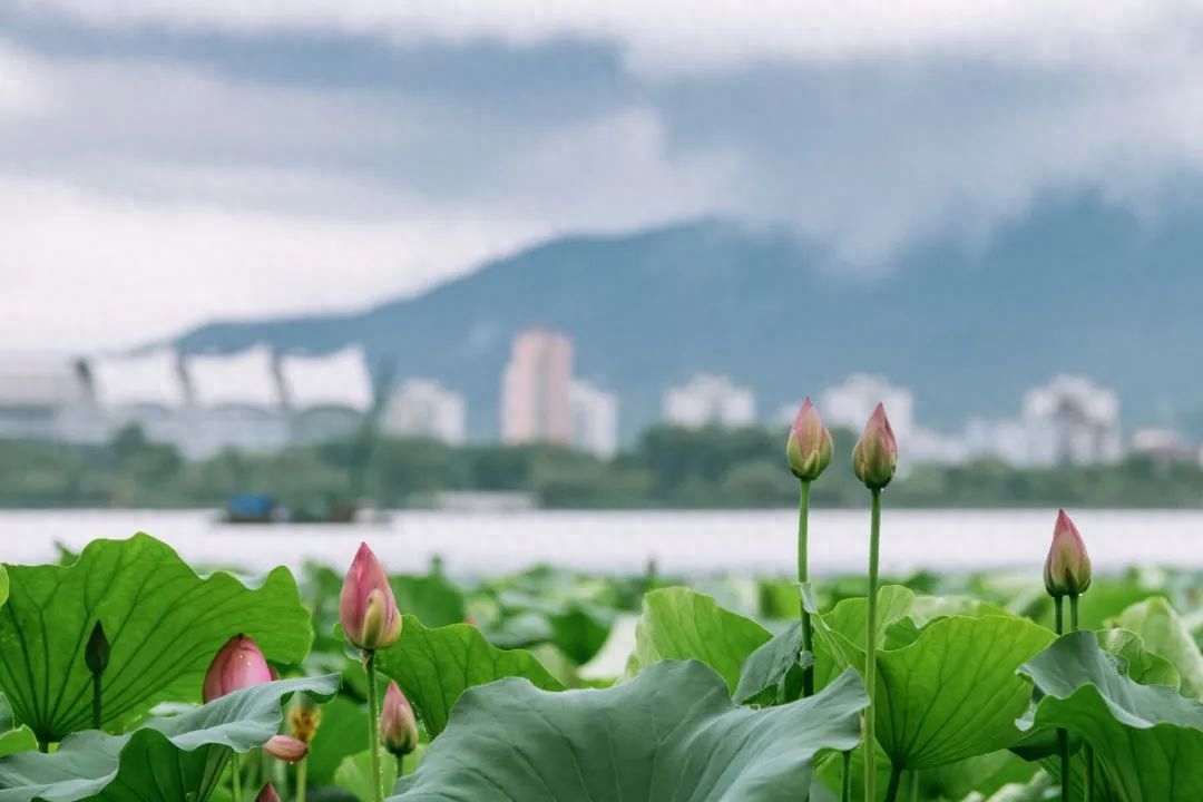 二十四节气绝美古诗（10首唯美小暑诗词）