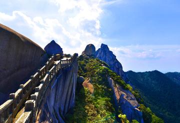 美丽的校园风景作文（《校园的风景》）