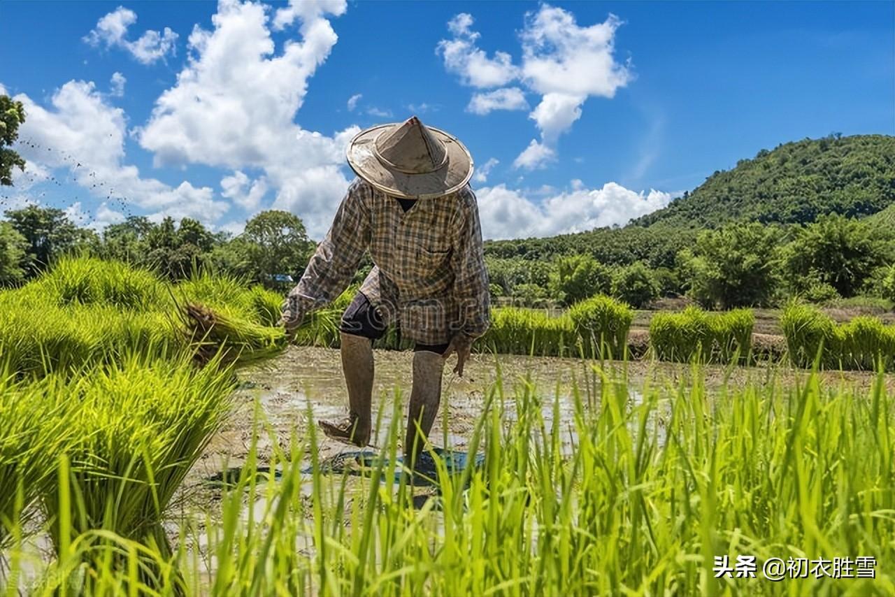 小暑节气物候温风古诗六首（赫赫温风扇，炎炎夏日徂）